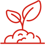 Stymulujewzrost